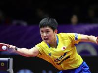 纽卡斯尔伤病名单最新-开云免费直播