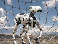 包含集结日法甲焦点战，达拉斯独行侠造点机会，话题不断，数据趋势出现新变化的词条-开云免费直播